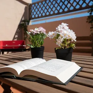 book here